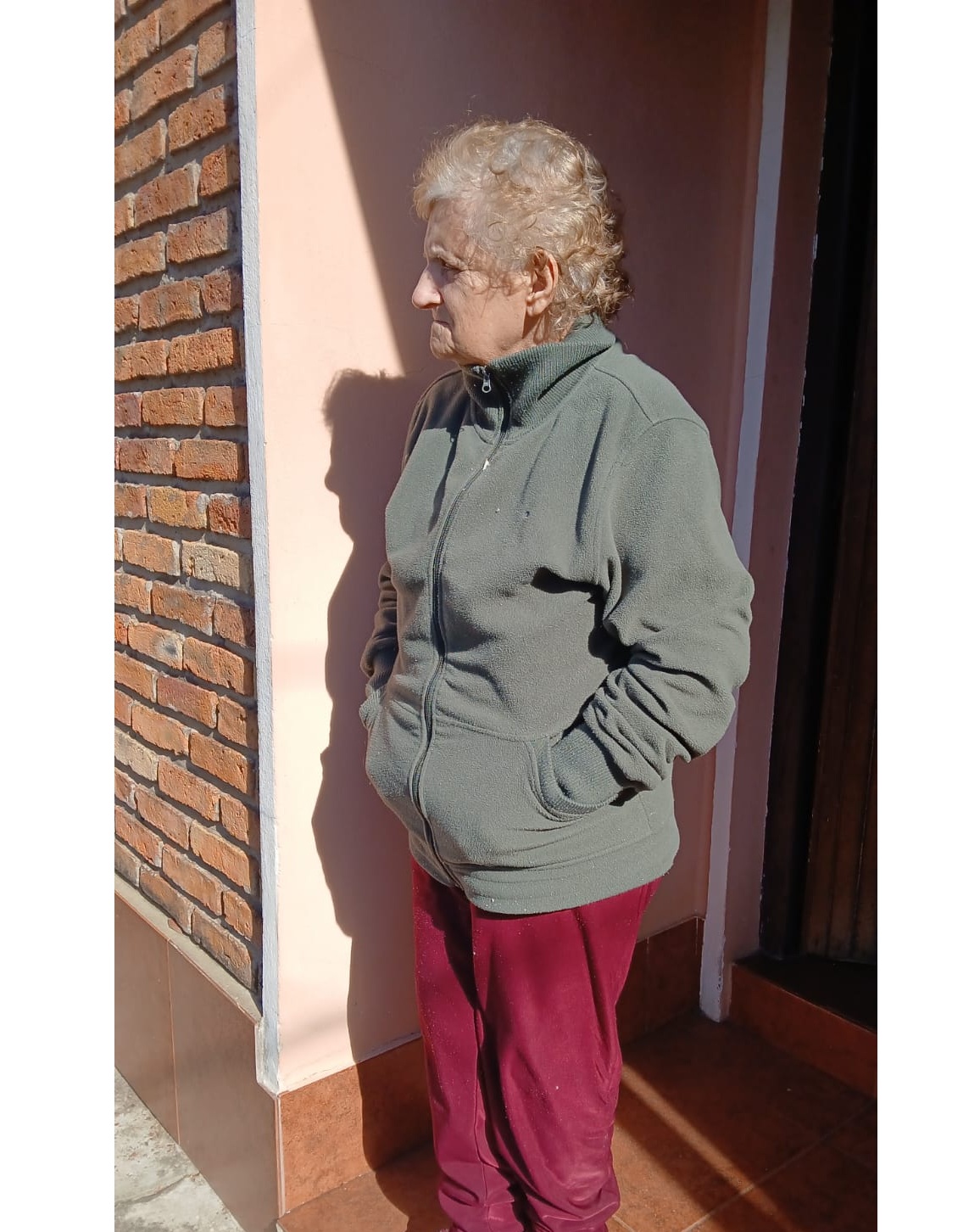 Imagen 2